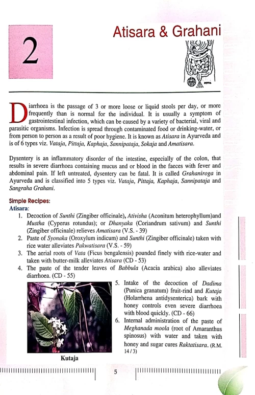 Simple Remedies For Common Maladies